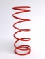 Preview: Gegendruckfeder rot