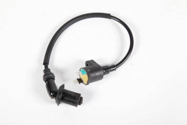Zündspule im Set mit NGK Stecker
